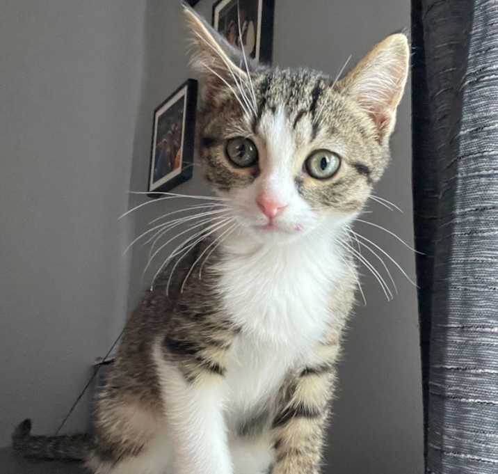 Photo of Seymour