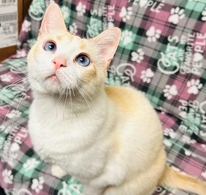 Photo of Rocket