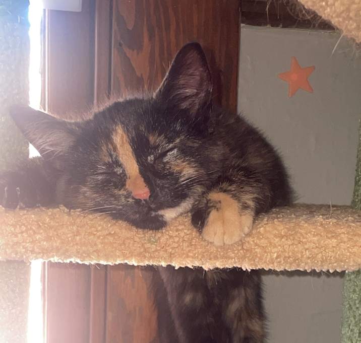 Photo of Carmela