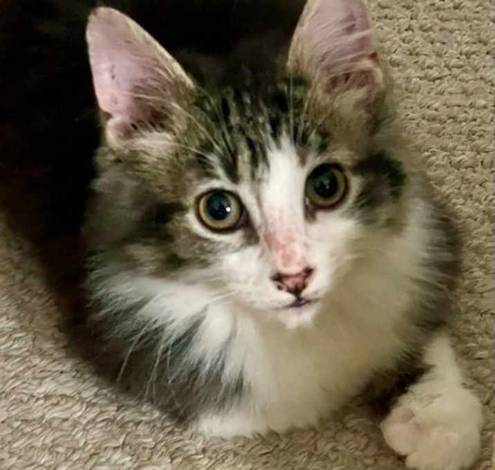 Photo of Jack