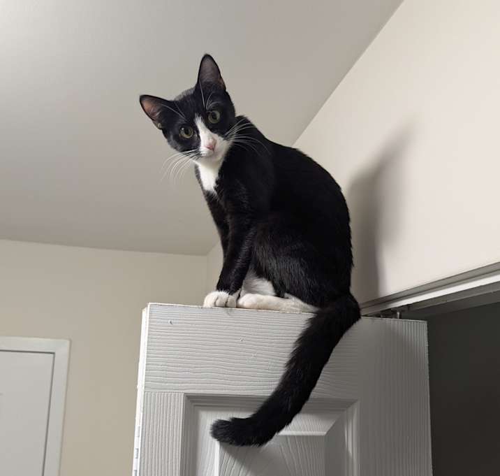 Photo of Brulee