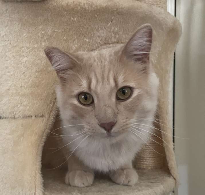 Photo of Milo