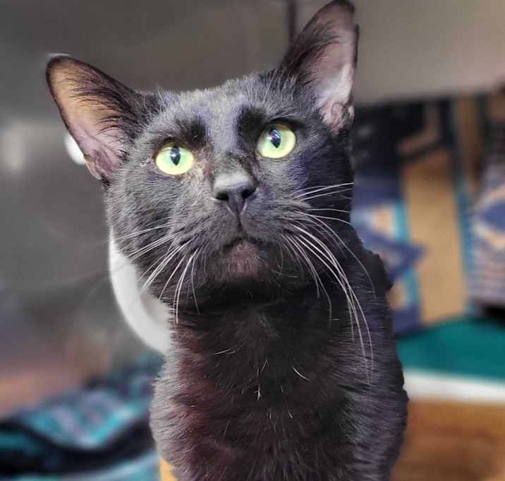 Photo of Neighbor Tommy