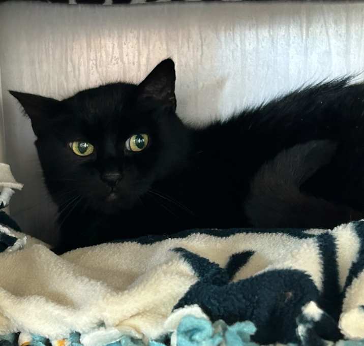 Photo of Lil Baby