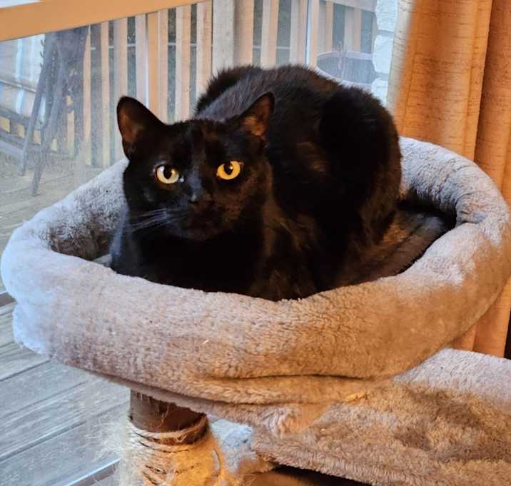 Photo of Spooky