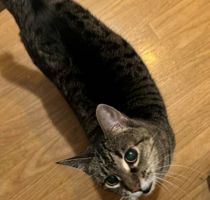 Photo of Janice