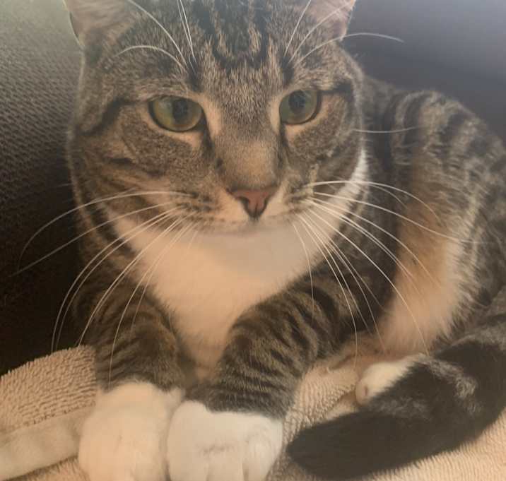 Photo of Bonnie