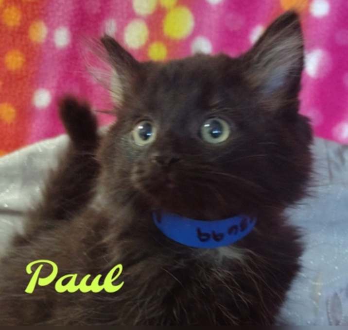 Photo of Paul