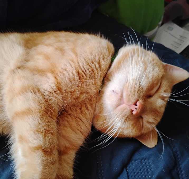 Photo of Arthur