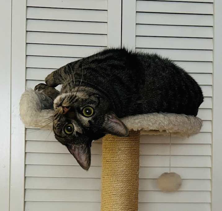 Photo of Punkin