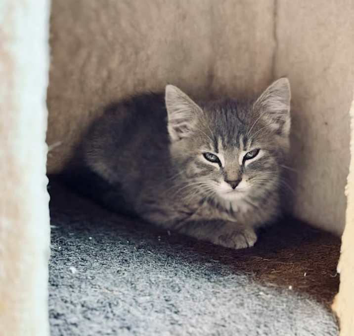 Photo of Nora