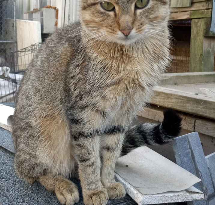 Photo of Charlie