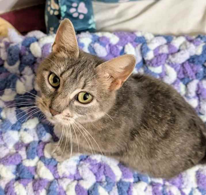 Photo of ABBY