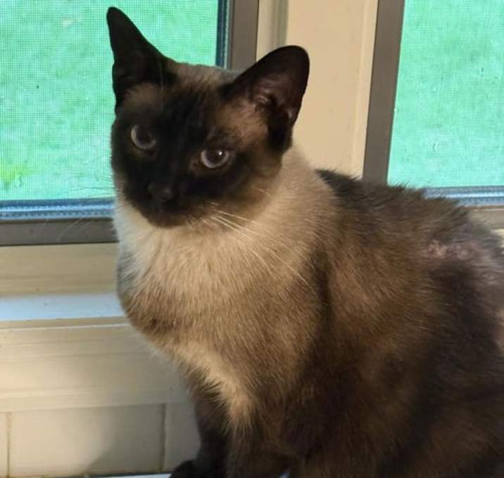 Photo of NORI