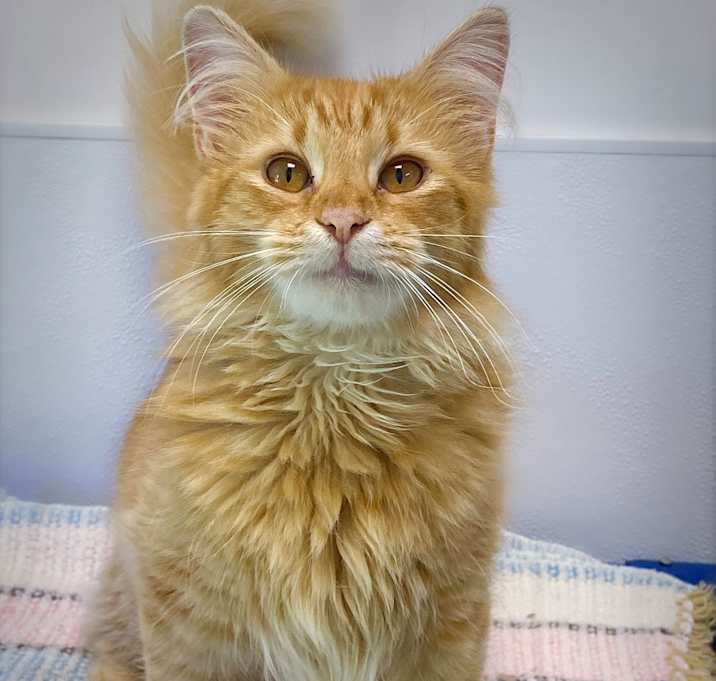 Photo of Dave