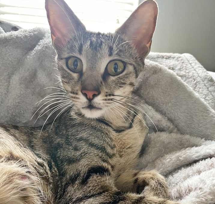 Photo of Bobbie
