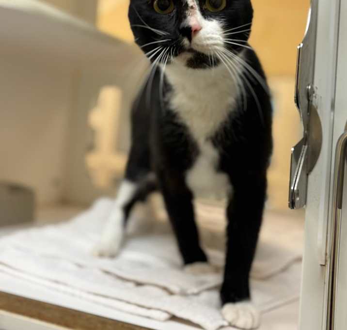 Photo of JEEVES