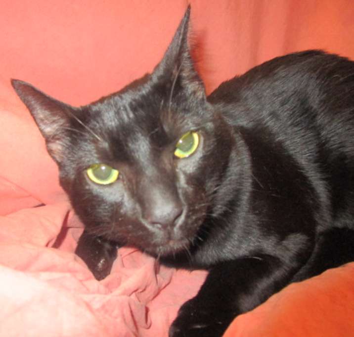 Photo of CLINT