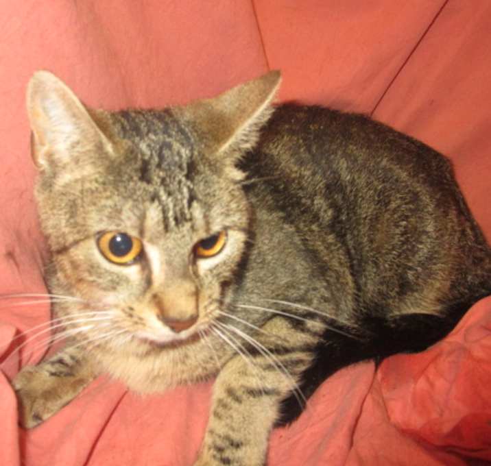 Photo of LOU LOU