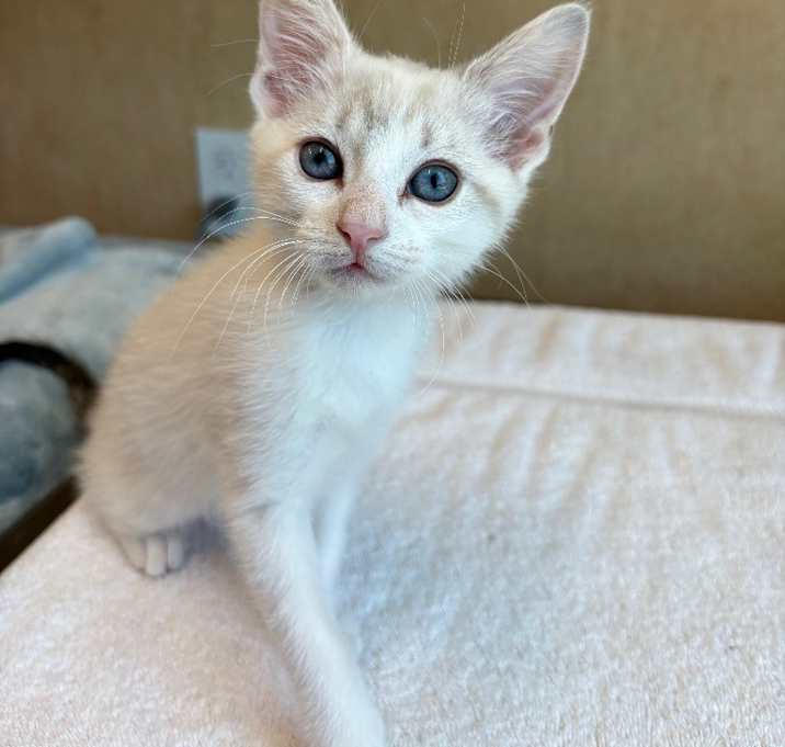 Photo of Sally
