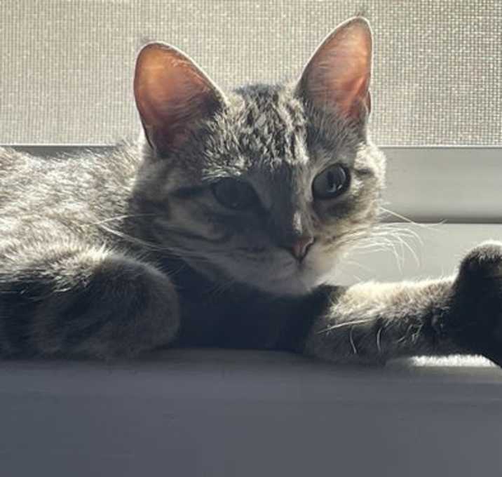 Photo of Pawlina