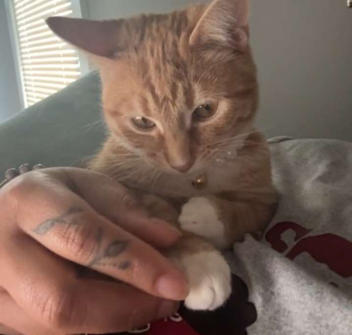 Photo of Spice