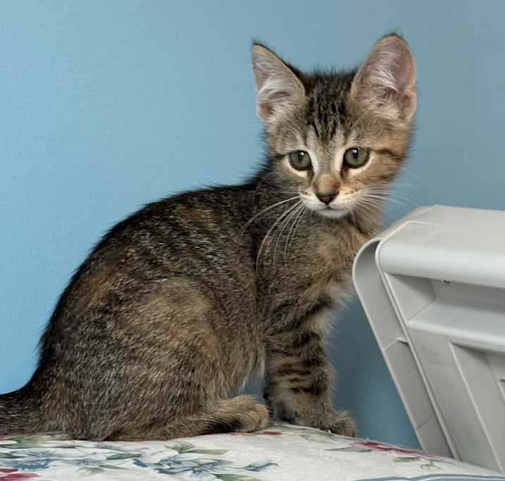 Photo of Jesse