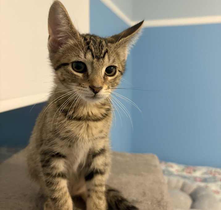 Photo of Lena