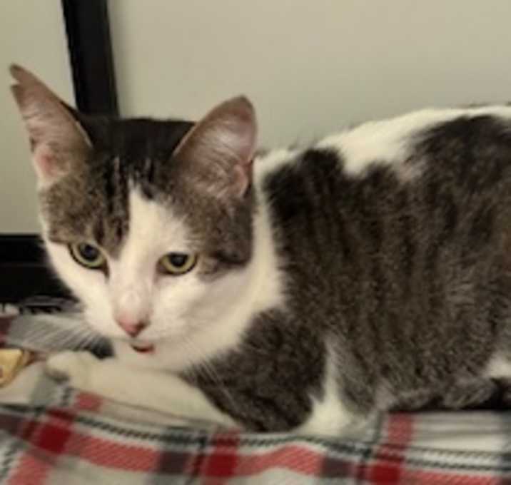 Photo of Luna
