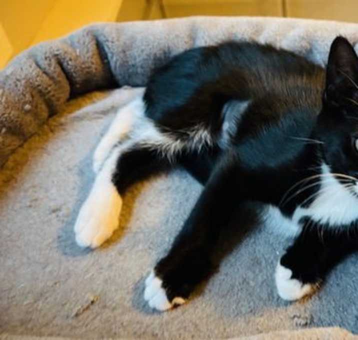 Photo of Disco