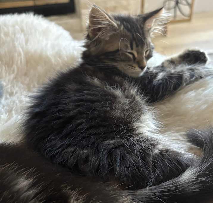 Photo of Rolly