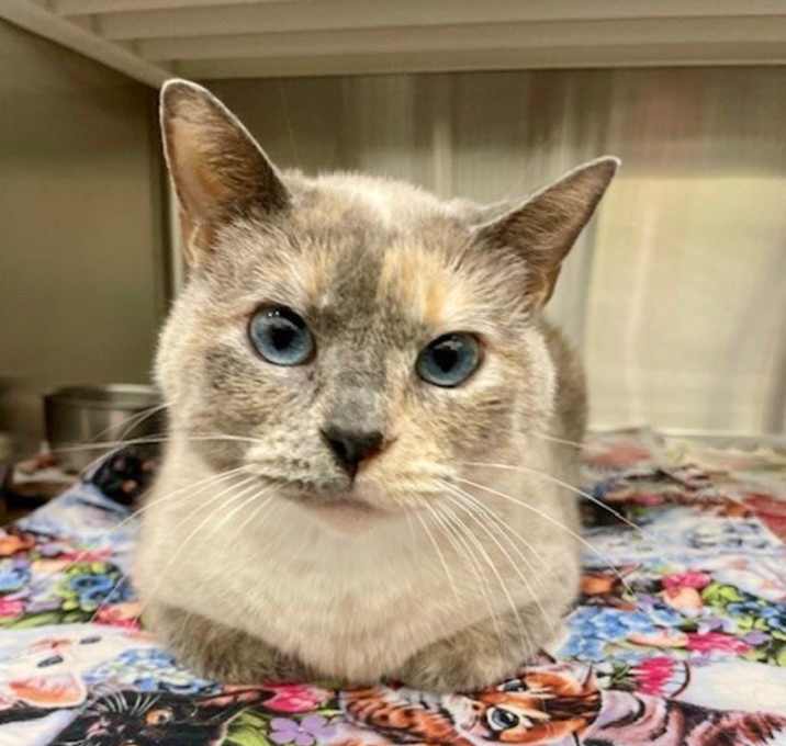 Photo of Carlee