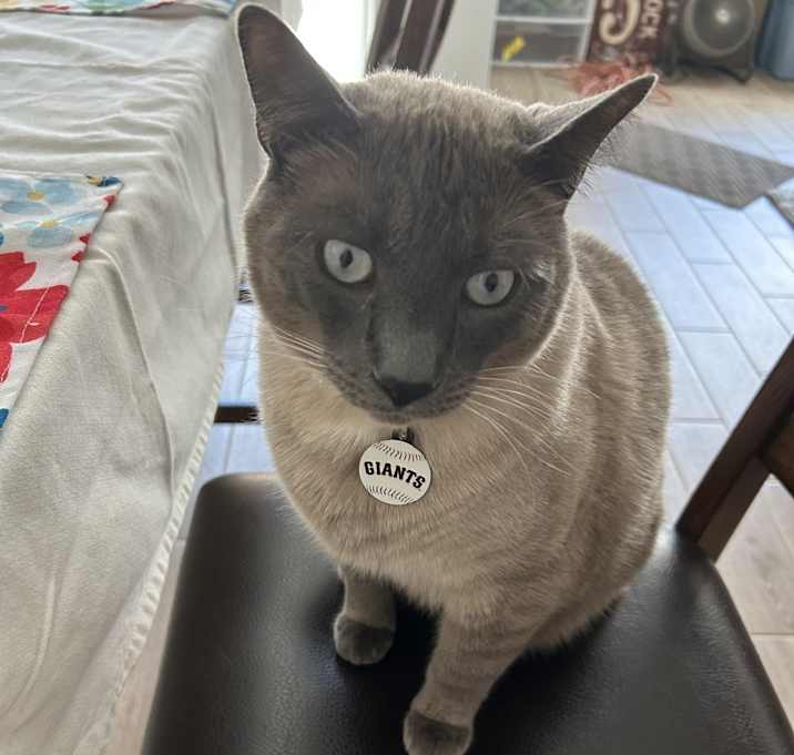 Photo of Zeek