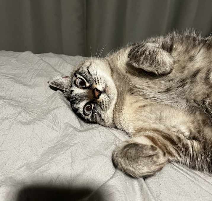 Photo of Gamora