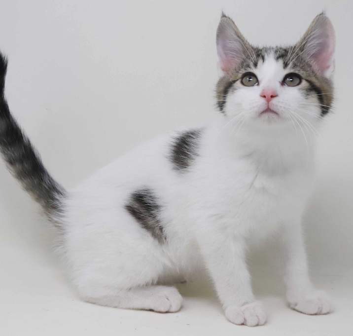 Photo of Tallulah