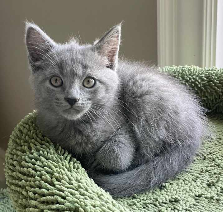 Photo of Eeny