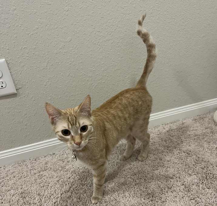 Photo of Cloud