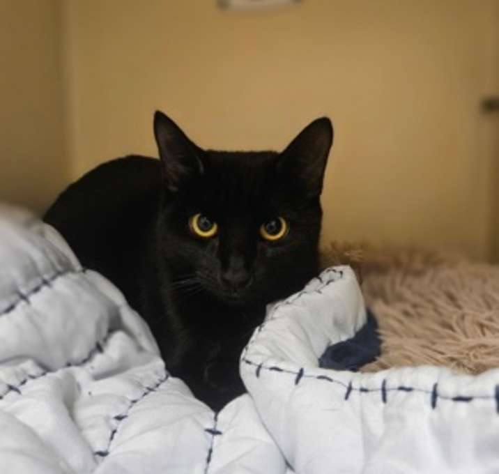 Photo of Agatha~s25/26-0035a