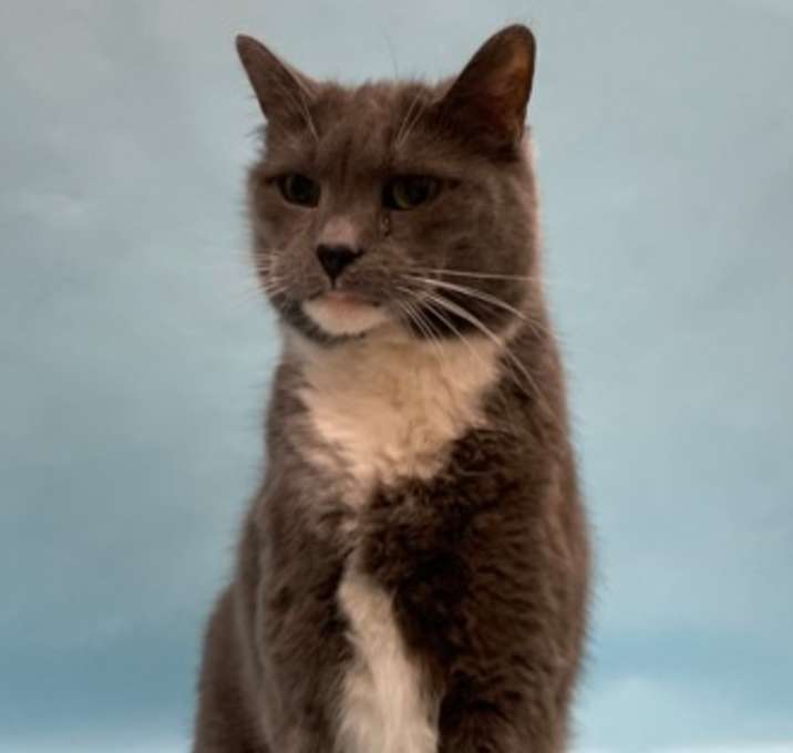 Photo of Dutchess