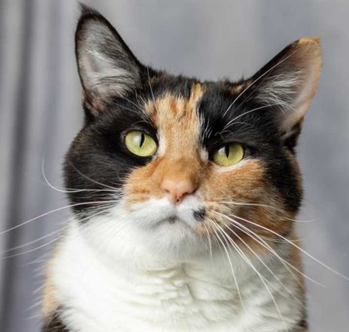 Photo of MARI