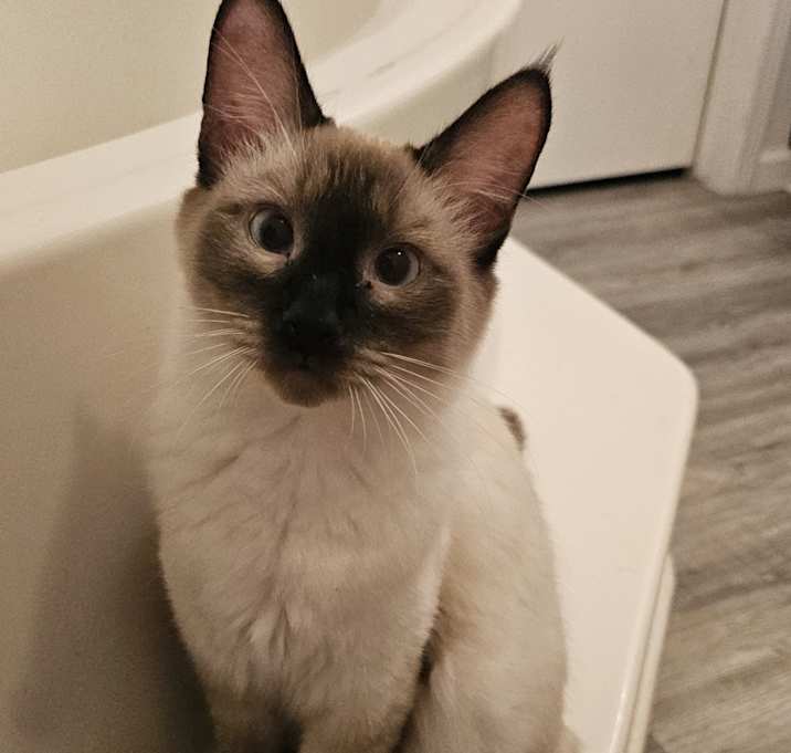 Photo of Handsome