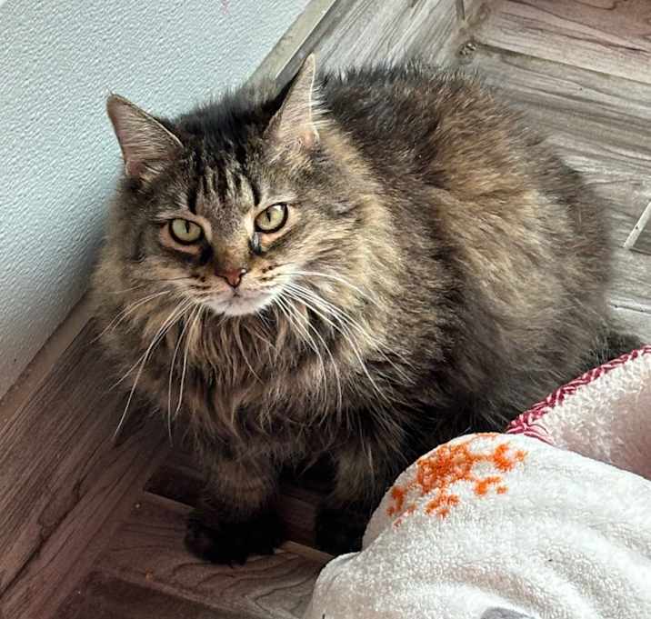Photo of Ethel