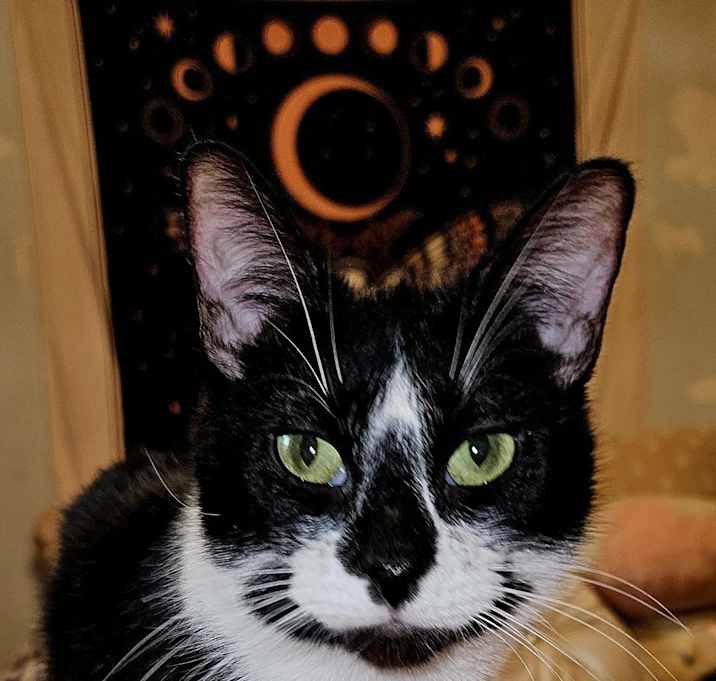 Photo of Princess