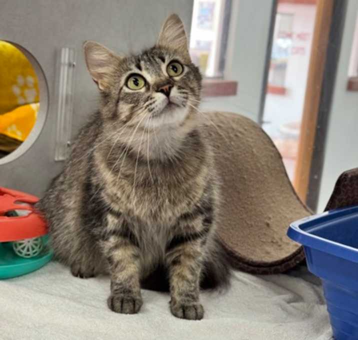 Photo of Willow