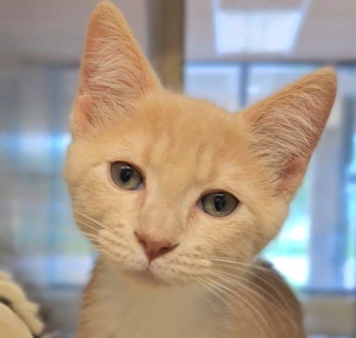 Photo of Daisy TCR14/15 5/5/25