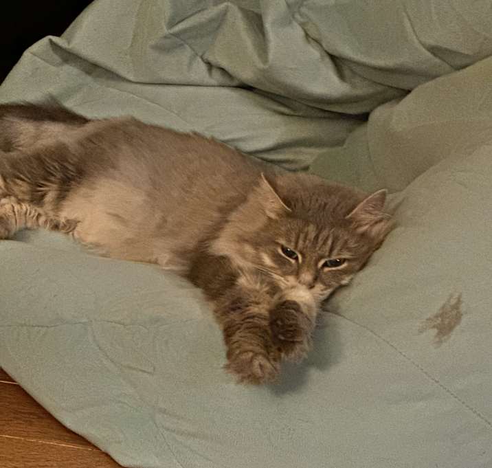 Photo of Zara