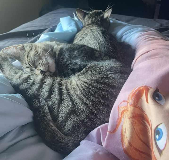 Photo of Squeaky and Emo