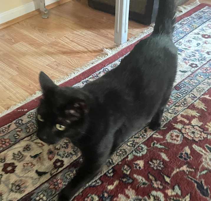 Photo of Jack