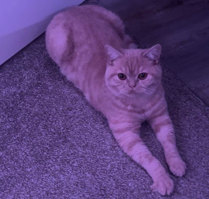 Photo of Jack