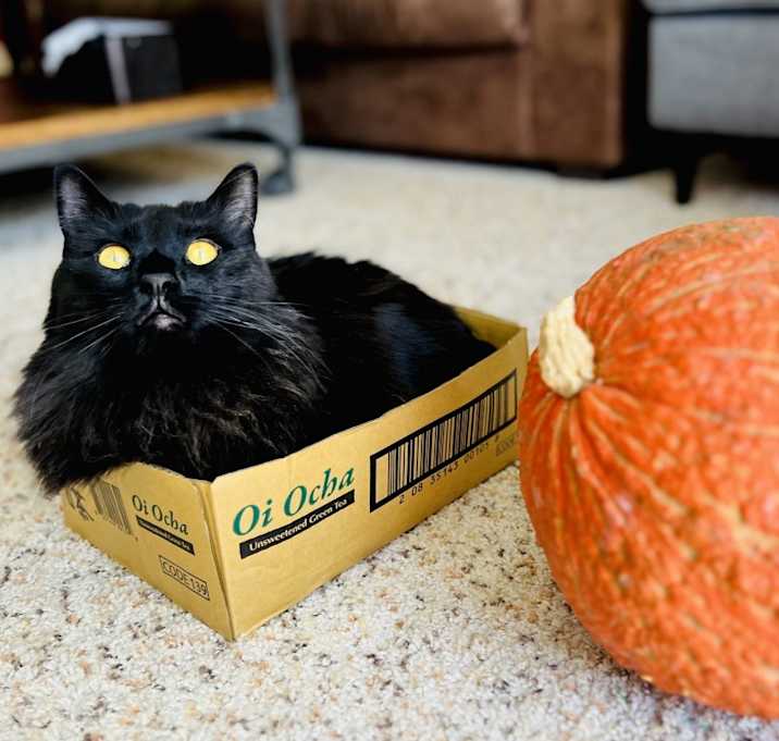 Photo of Tater